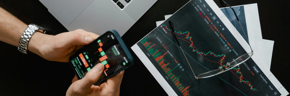 prepper wiki lexikon systemische finanzkrise