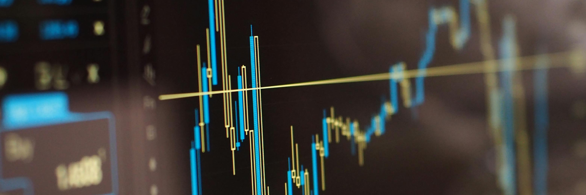 prepper wiki lexikon Finanzalgorithmenberechnungsfehler
