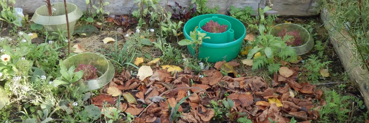 prepper wiki lexikon mulchen